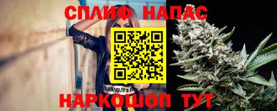 стаф Ставрополь